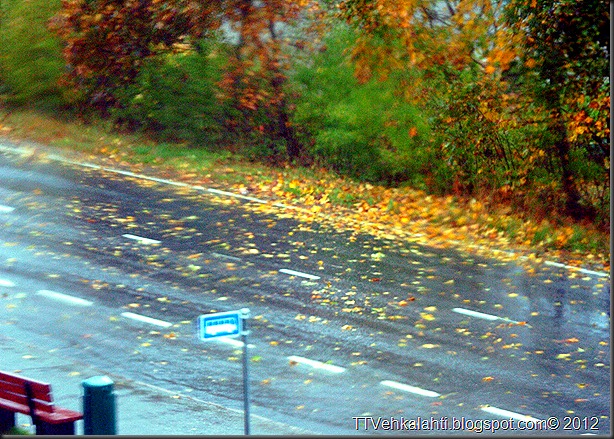 syksy sade 007 syksy sade 007