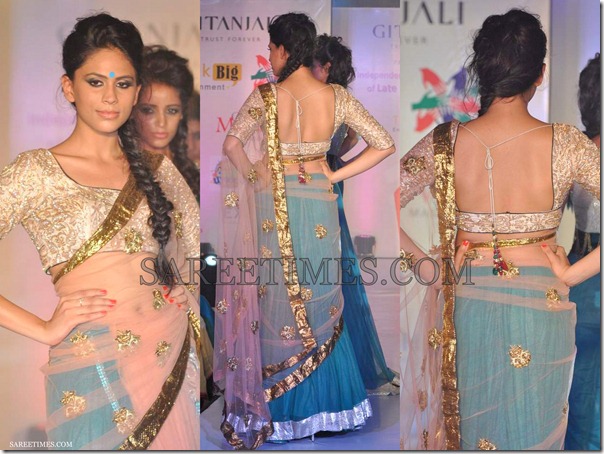 Manali_Jagtap_Embroidery_Shimmer_Saree