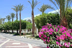 Фото 1 Sultan Gardens Resort ex. Holiday Inn Sharm