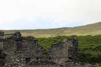 IMG_3404.jpg