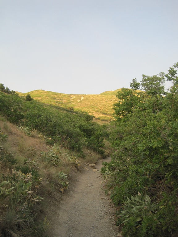 [IMG_7916%255B4%255D.jpg]