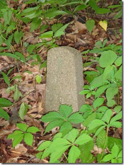 A numbered grave at Dixmont State Hospital Cemetery. A numbered grave at Dixmont State Hospital Cemetery.