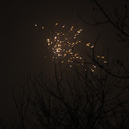 DSC_2460.jpg