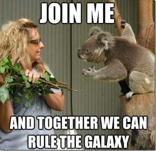 viral-picdump-pics-8acdc8
