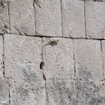  in Chichen Itza, Mexico 