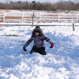 2010-12-27 Snow - IMG_3618.JPG