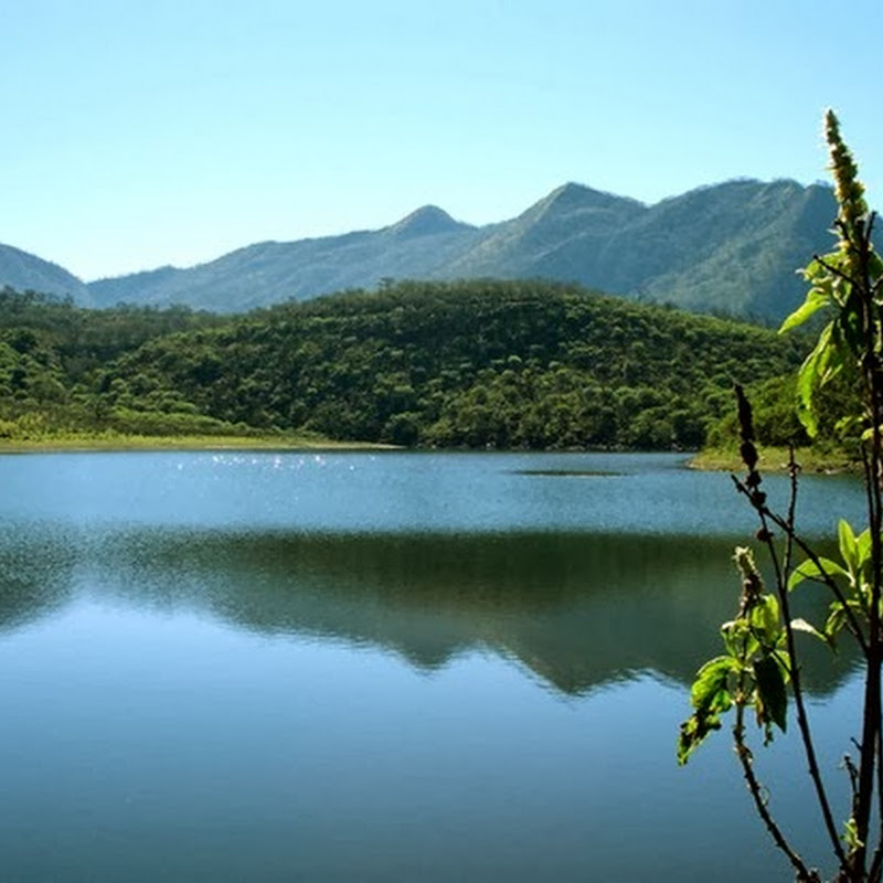 Lagunas de Yala, water mirrors in height with a stunning vegetation.