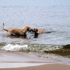 20100826_018_small.JPG