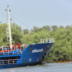 IMG_7711.JPG