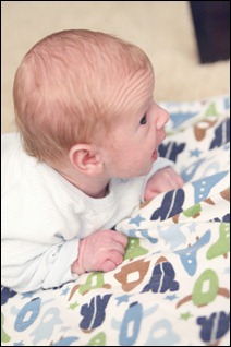 IMG_8421 copy