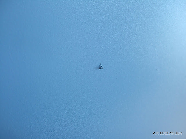 Une ptite poussière ! on y touche surtout pas elle partira très facilement lorsque la sous-couche sera sec au touché