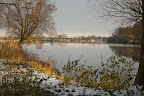 Graureiher an der Hamme Graureiher an der Hamme