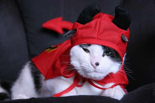 Devil Yoda