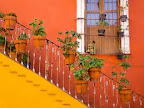 Sprachaufenthalt Guanajuato
