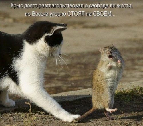 [1354868451_kotomoto-37%255B4%255D.jpg]