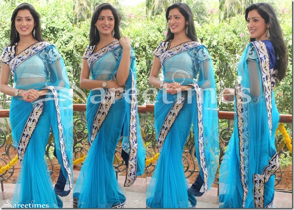 Richa_Panai_Blue_Net_Saree Richa_Panai_Blue_Net_Saree