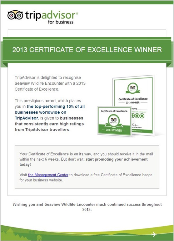 [Trip%2520advisor%2520certificate%25202013%255B3%255D.jpg]