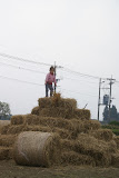 DSC01697.JPG