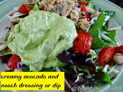Creamy Avocado and Nooch Dressing or Dip