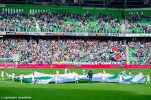 20140928 - WVV E1-E2 bij FC Groningen - 039.jpg