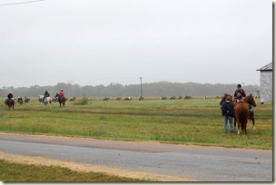 IMG_4477 IMG_4477