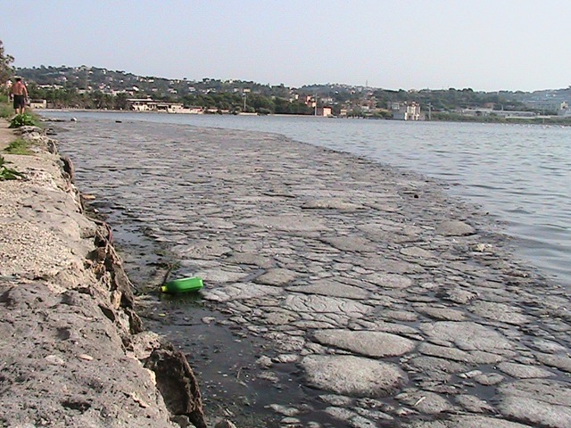 [IMG_0431%255B4%255D.jpg]