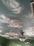 IMG_1335 IMG_1335