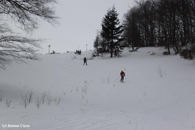 2013.02.02 - Cupa Memoriala 