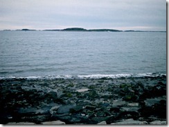 IMG_0031 IMG_0031