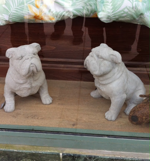 Dr Pia is still wondering what F & S would think if she brought this duo home from Scandinavia...