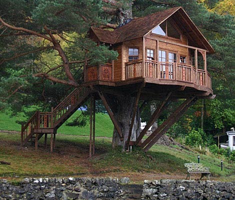 [tree-house-2-470-1108%255B3%255D.jpg]