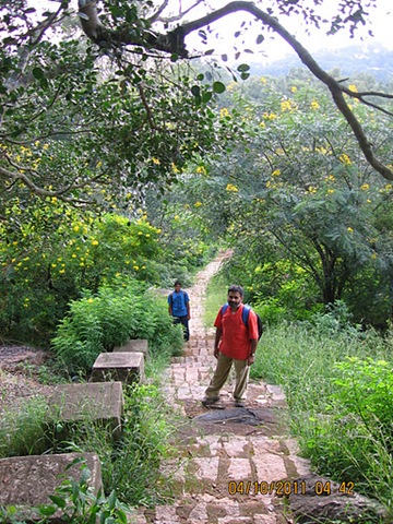 [VidyaSury%2520path2%255B3%255D.jpg]