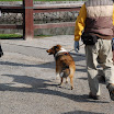 hokkaido_158.jpg