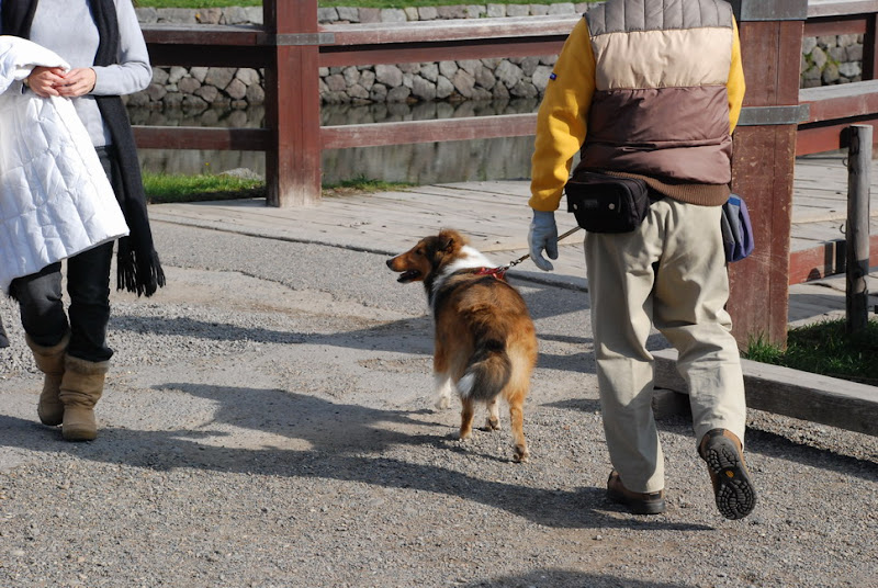 hokkaido_158.jpg