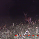 ICAM0111.JPG