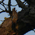 P1100284
