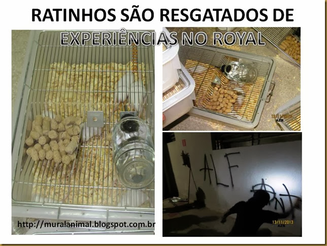 Slide1 Slide1