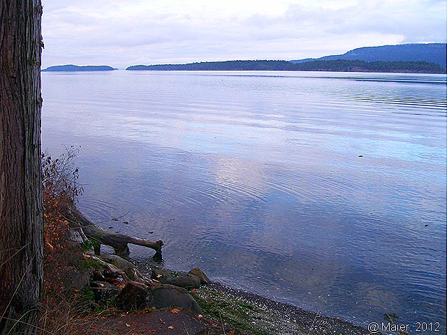 [Saltsprings10%255B8%255D.jpg]