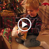 – 26-Dec-2008 – 26-Dec-2008
