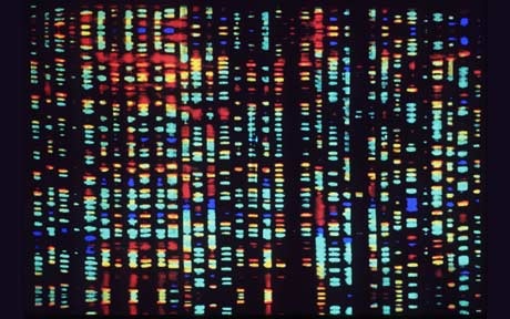 [genome_1748527a%255B2%255D.jpg]