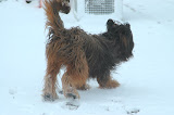 Blog - 2012 - snow 2/28