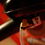 IMGP1165.JPG