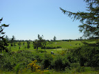 DSCN3339.JPG