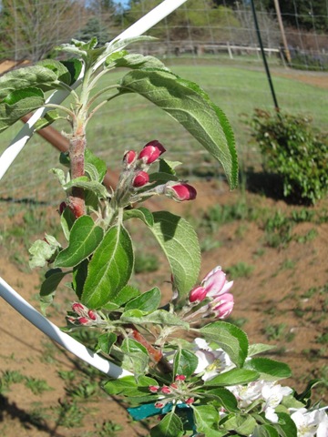 [IMG_1331%255B7%255D.jpg]