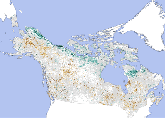 Trend in photosynthetic activity in North American boreal forest, 1982-2003. Graphic: Scott Goetz / Woods Hole Research Center