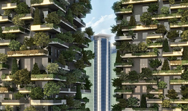 [First-Vertical-Forest-03%255B3%255D.jpg]