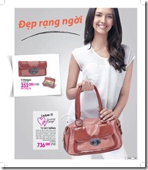 Catalog19-41