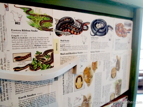 snakedrawer #modpodge #dresser #crafting #furniture snakedrawer #modpodge #dresser #crafting #furniture