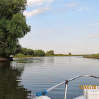 IMG_8231.JPG