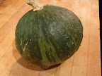 A beautiful kabocha squash.